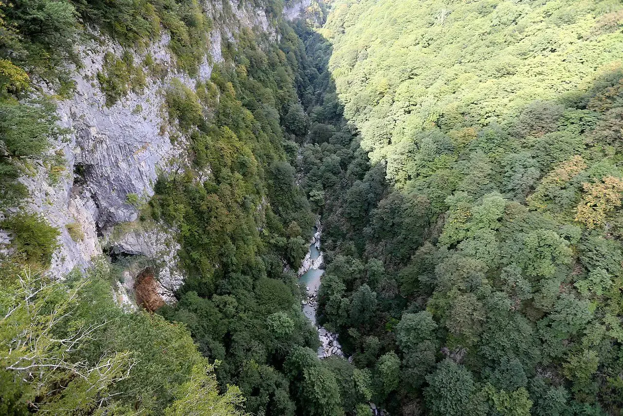 Forested limestone walls of Okatse Canyon