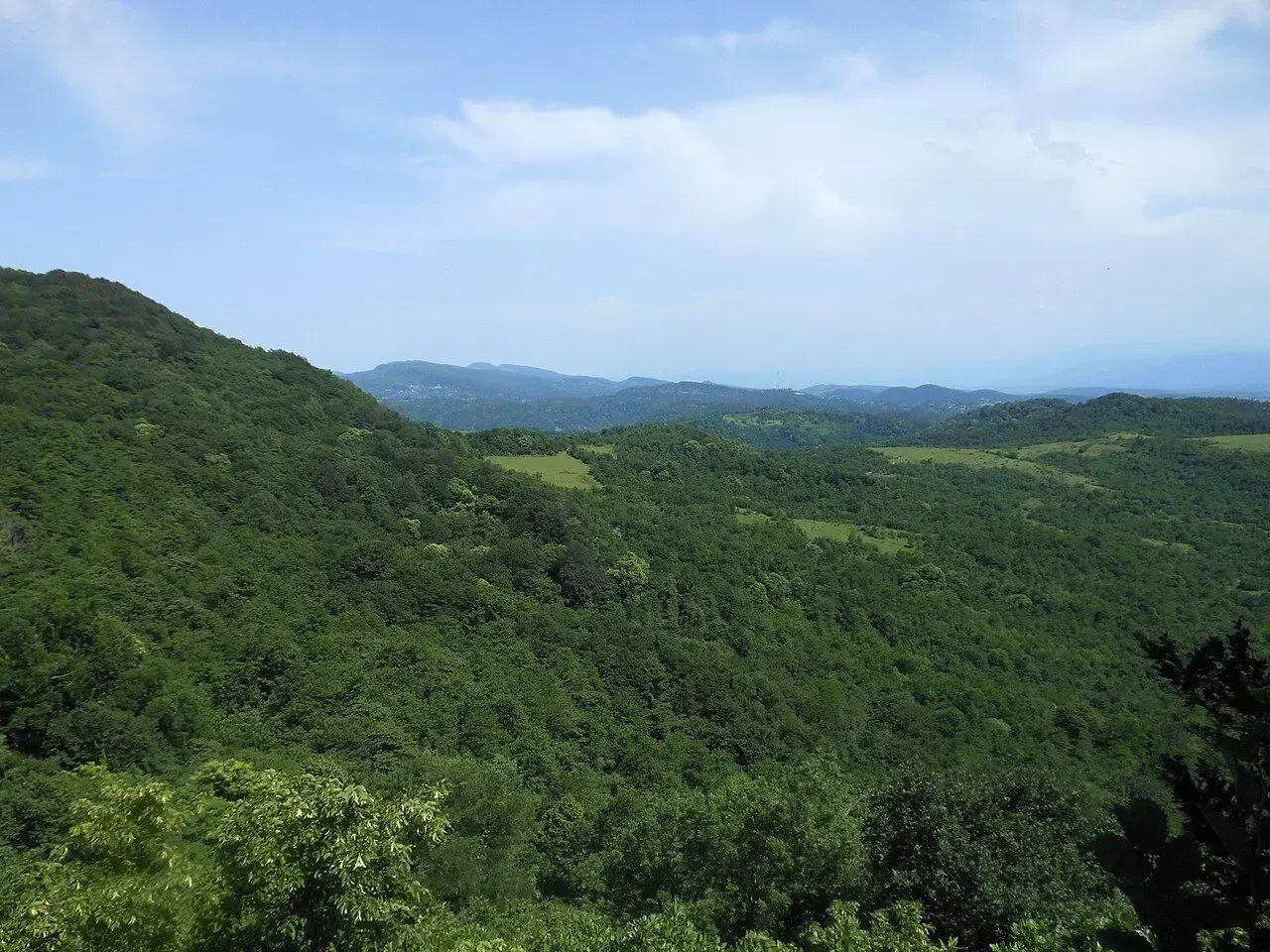 Forested hills around Sataplia reserve