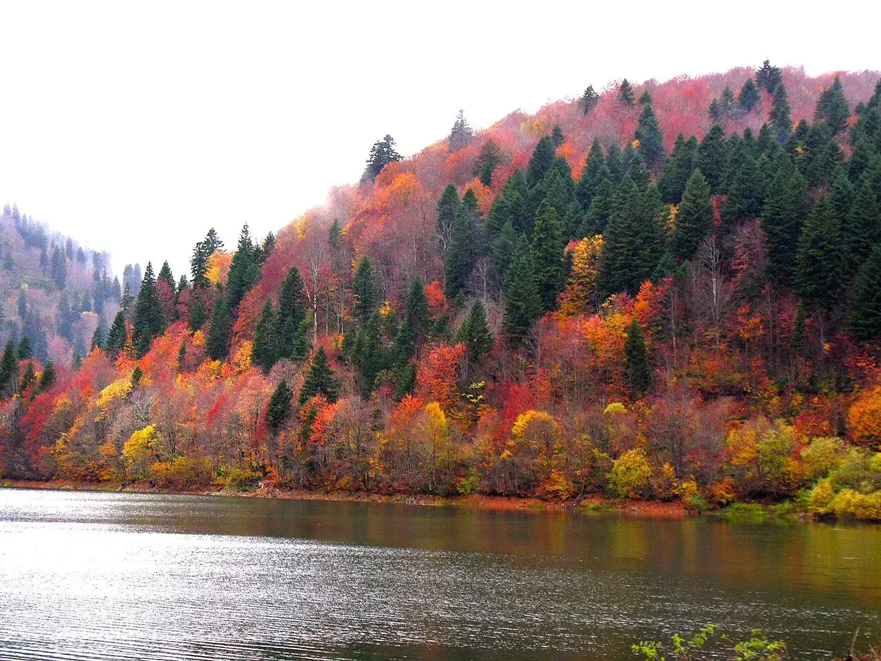 Autumn forest in red and gold above Shaori reservoir
