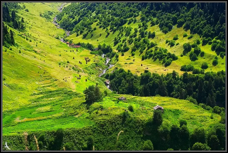 Green forested slopes around Shovi