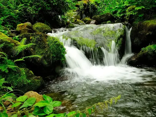 Waterfall in Mtirala National Park