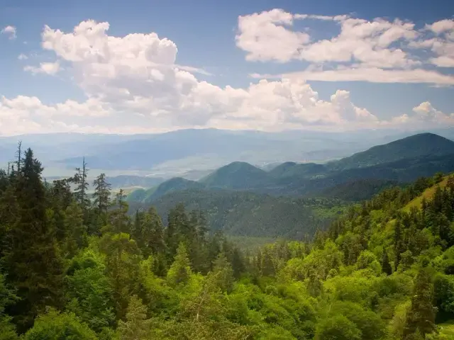 Forested ridges in Borjomi-Kharagauli National Park