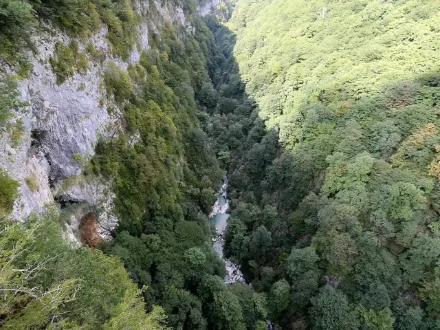 Forested walls of Okatse Canyon